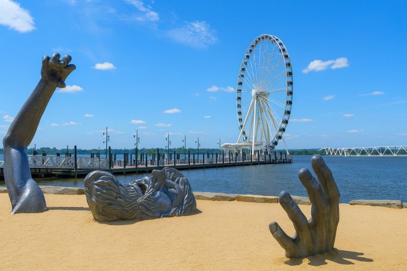 Local Field Brush Hogging in Oxon Hill, MD
