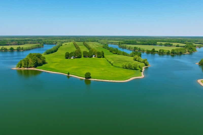 Local Field Brush Hogging in Suitland, MD