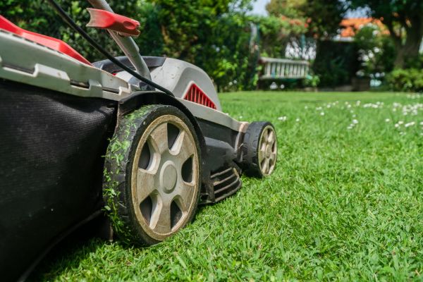 Rough Mowing Service