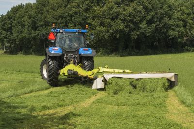 Bush Hogging