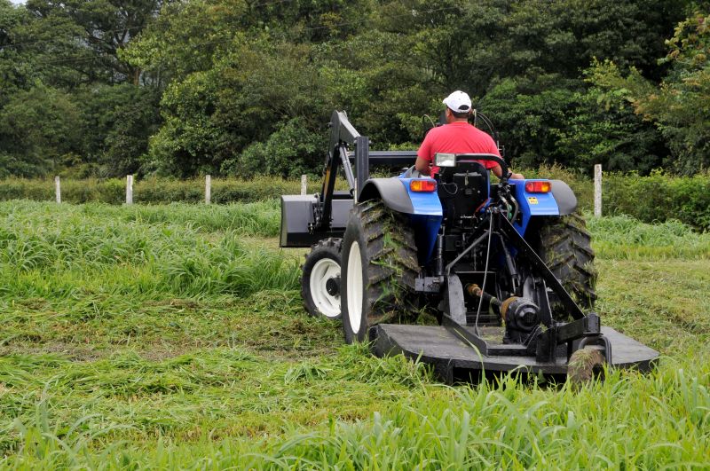Cost of Bush Hogging — Cost of Bush Hogging