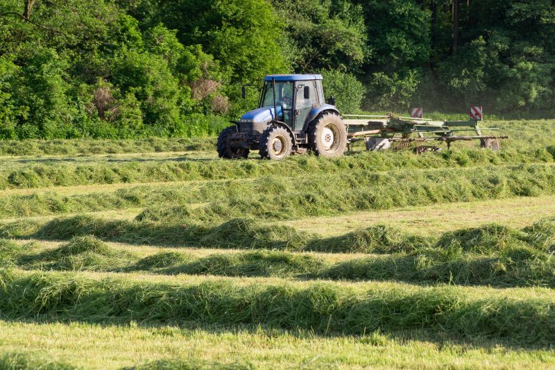 Cost of Bush Hogging — Cost of Bush Hogging