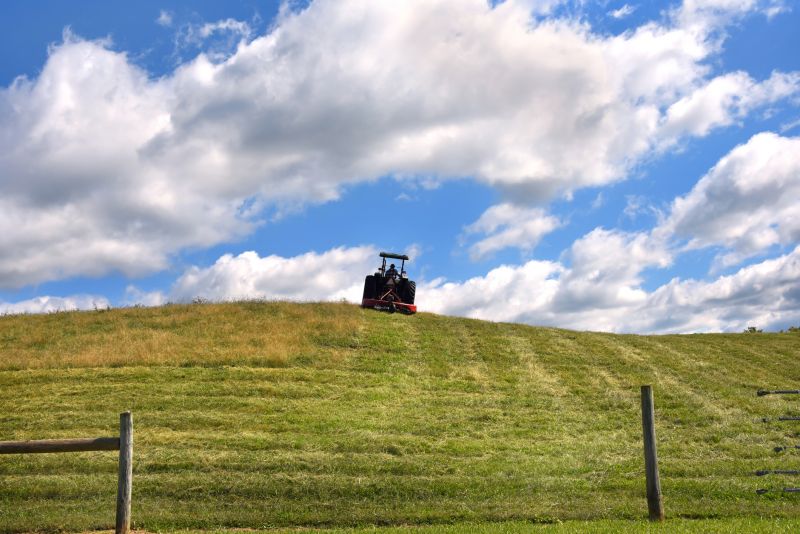 Local Field Brush Hogging in Capitol Heights, MD