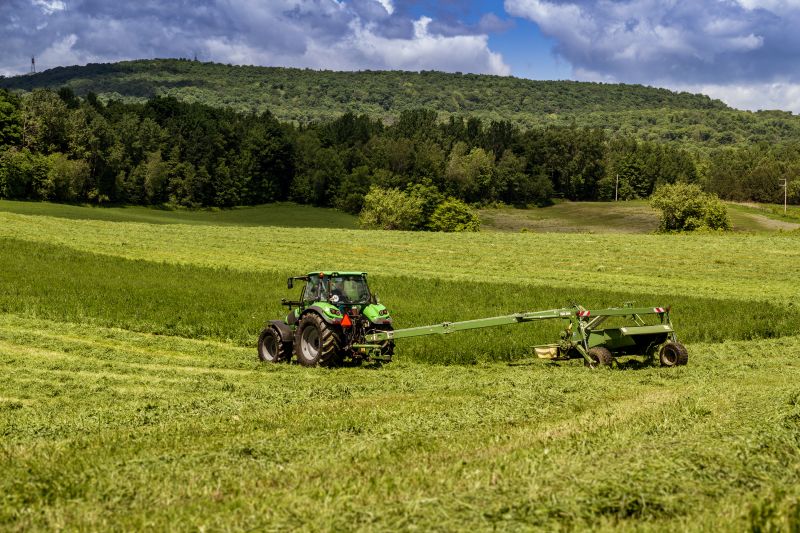 Local Field Brush Hogging in Dunkirk, MD