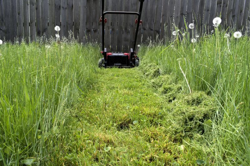 Pasture Mowing in Waldorf, MD
