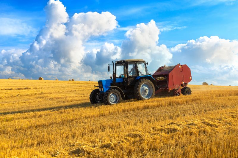 Local Tractor Mowing in Duluth, MN