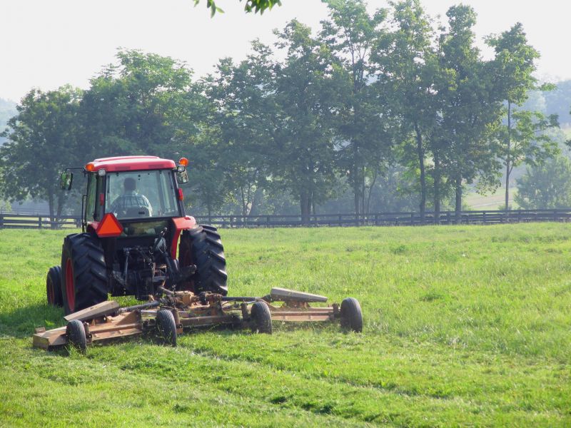 Local Tractor Mowing in Ely, MN